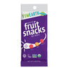 YumEarth Organic Fruit Snack Packs (12 Count)
